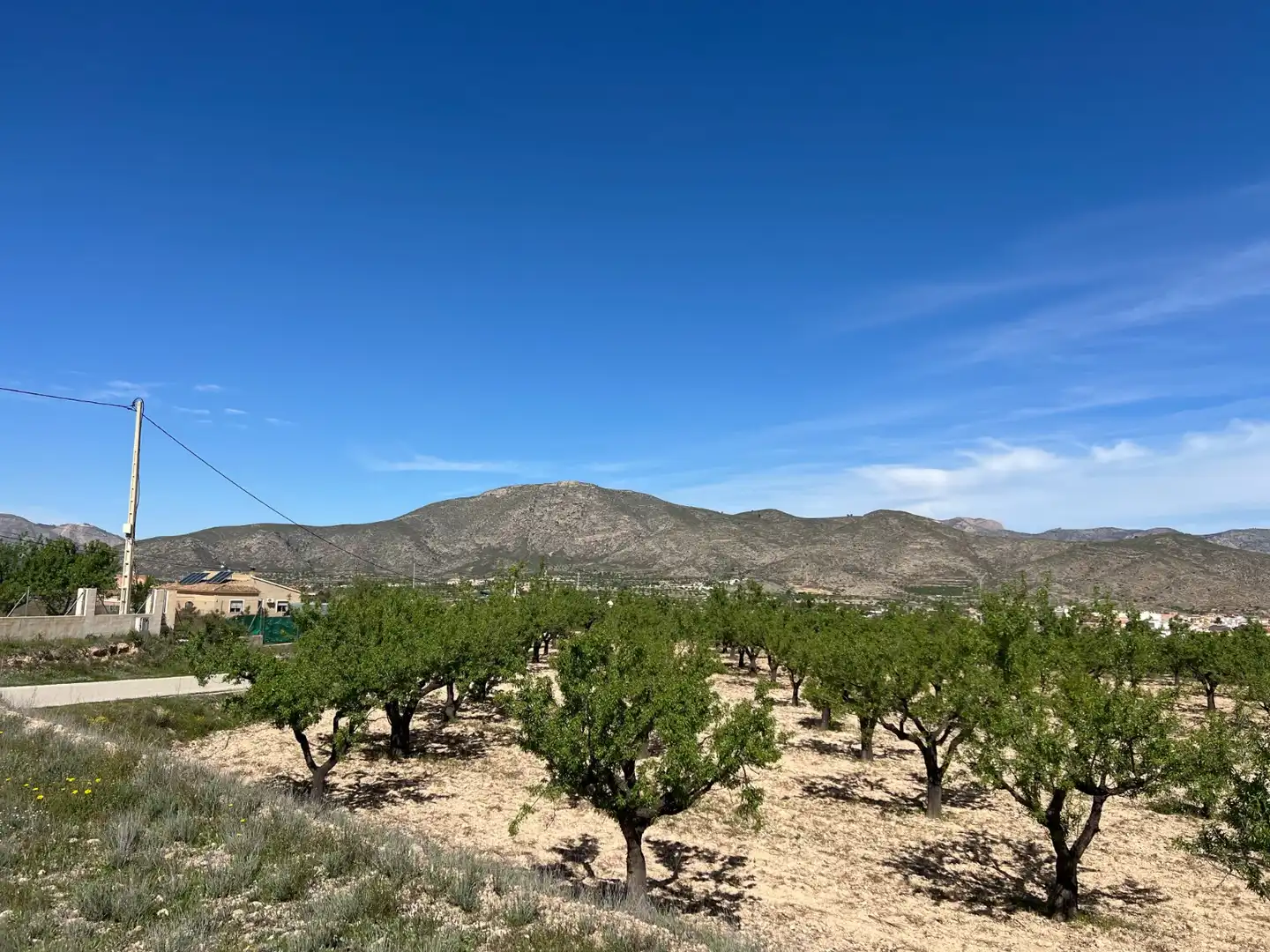 Residential land for sale in Hondón de los Frailes, imagen 9