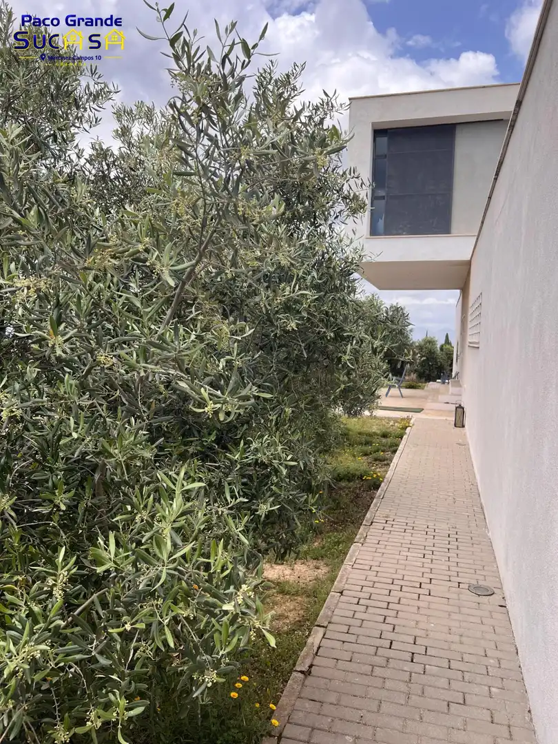 Chalet con terraza en venta en Aljomahima - Ermita, imagen 60