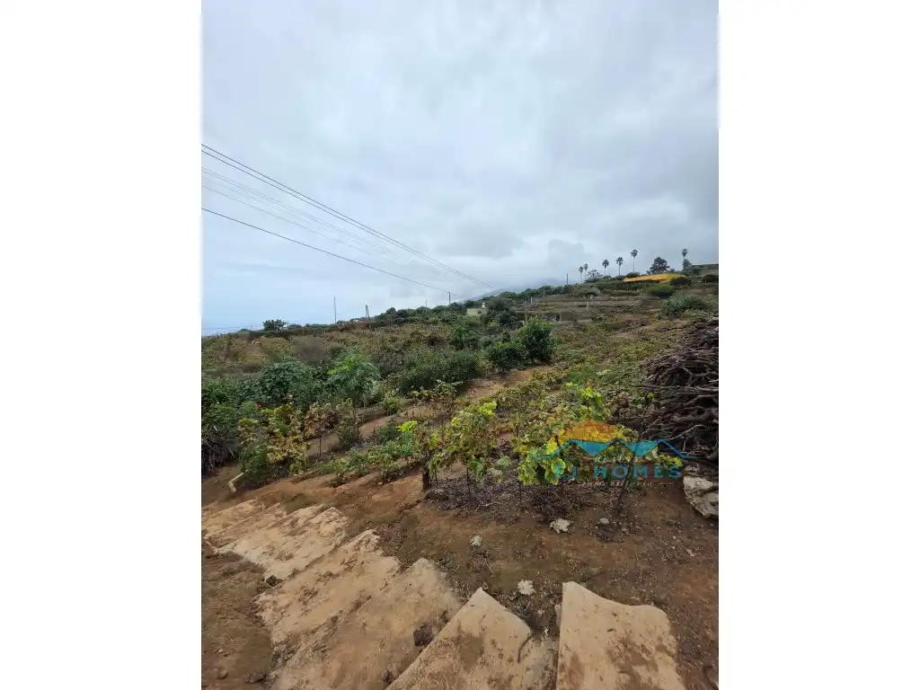 Houses for sale in La Orotava