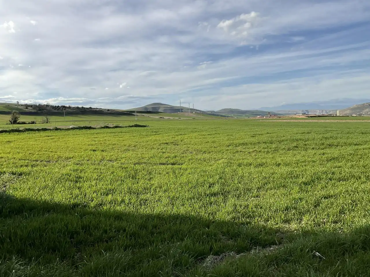 Local en venta en Bascuñana