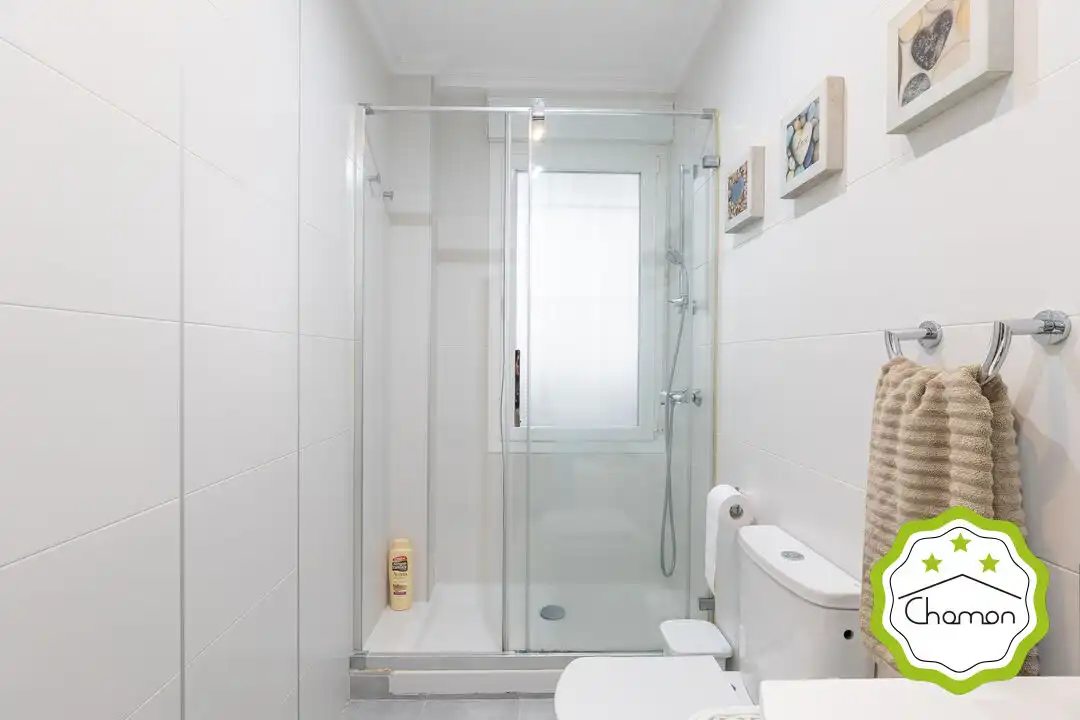 Piso con ascensor en venta en Hermanos de la Instrucción Cristiana Kalea, imagen 28