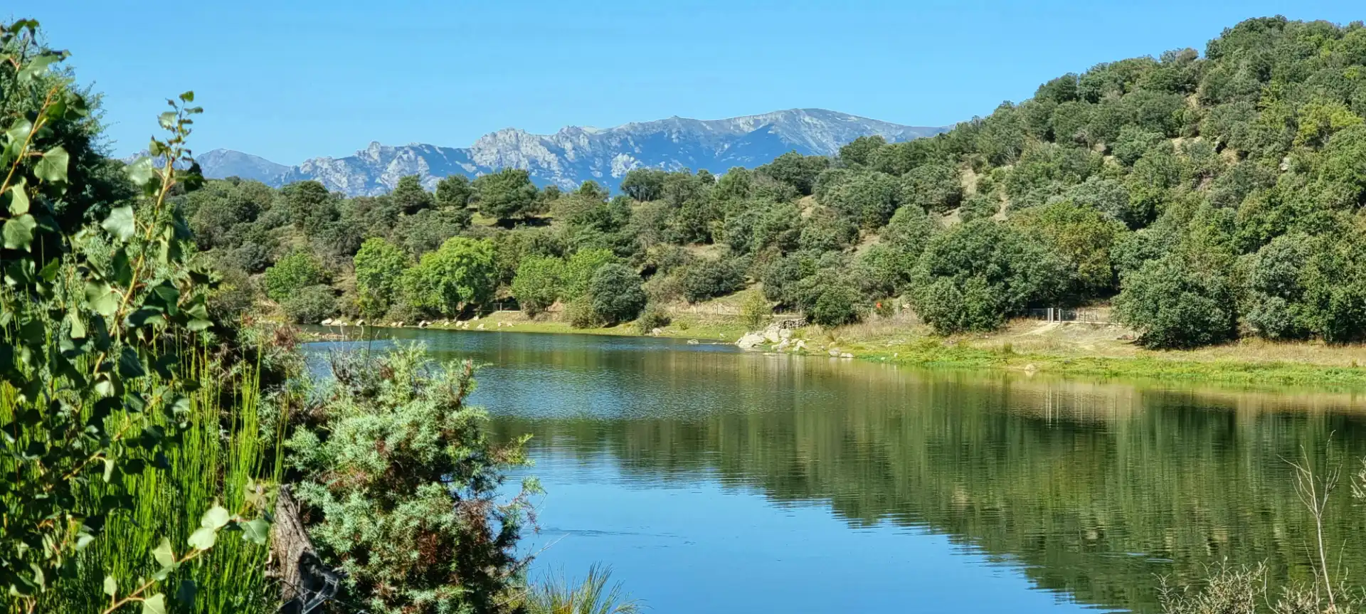 Vista exterior de Casa o xalet en venda en Guadalix de la Sierra amb Aire condicionat, Calefacció i Jardí privat