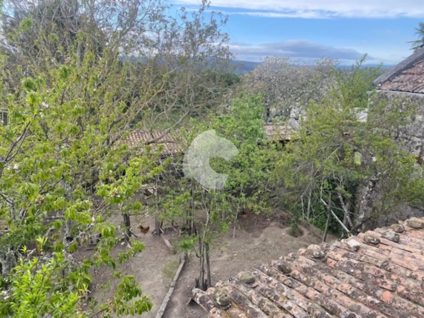 Adossat amb jardí en venda a Amoeiro, imagen 3