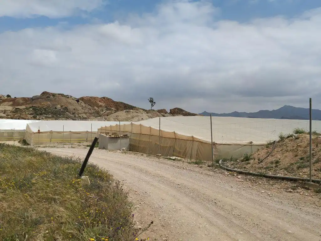 Rustikales Grundstück zum Verkauf in Pt Los Llanicos, Pol 17, imagen 15