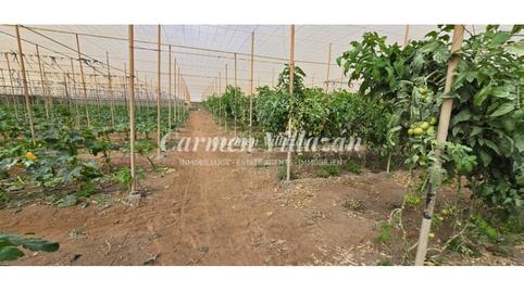 Photo 5 of Land for sale in Tesejerague, Tesejerague, Las Palmas