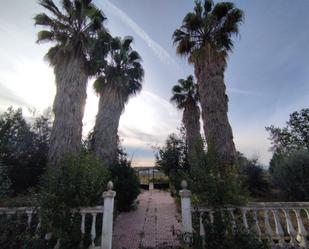 Jardí de Casa o xalet en venda en  Córdoba Capital amb Piscina