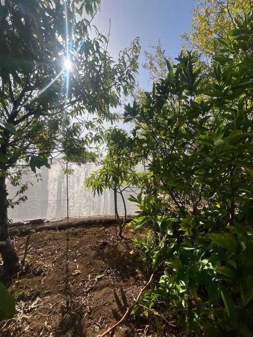 Residencial en venta en El Pinar de El Hierro