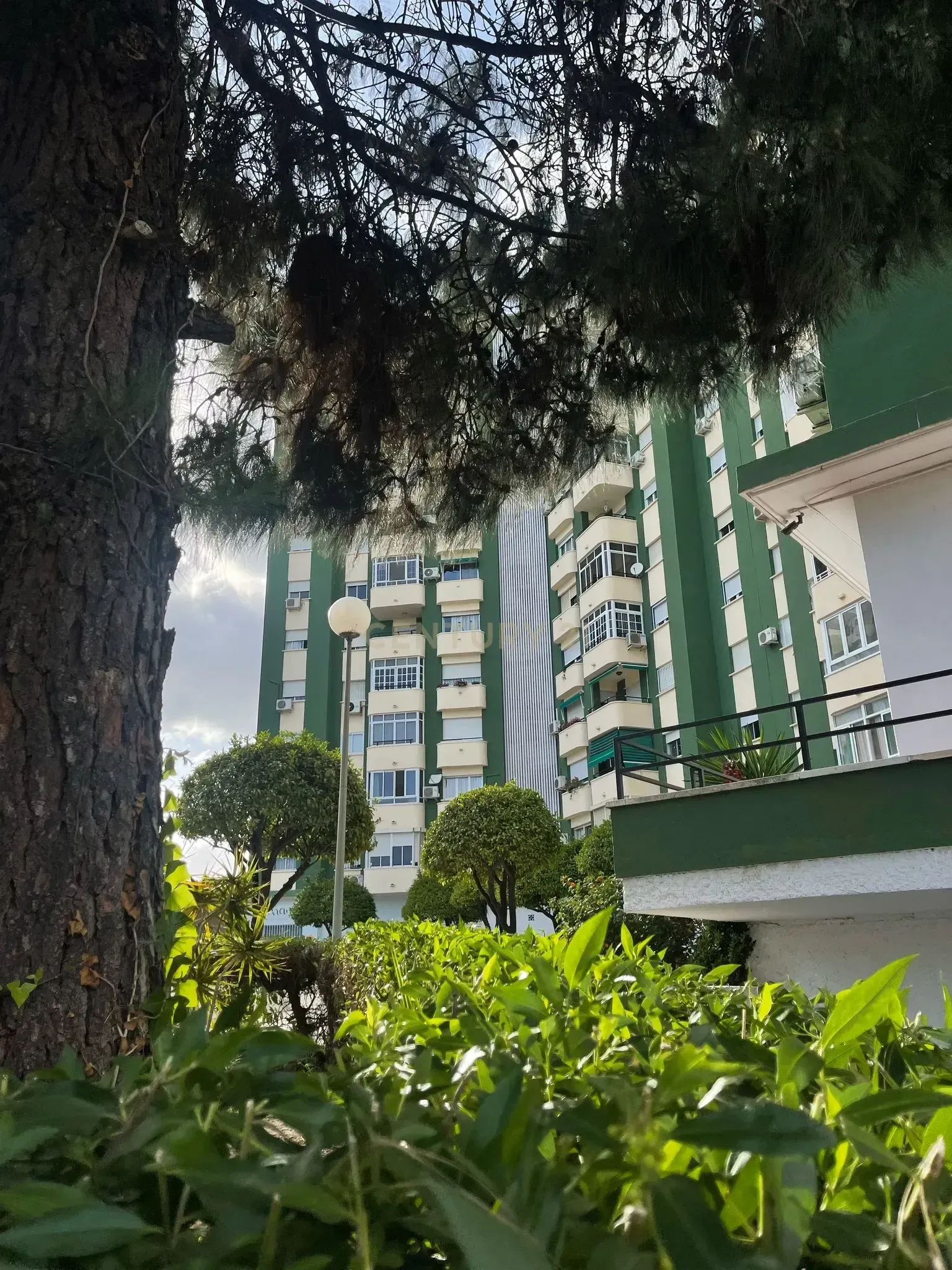 Pis en venda a El Cónsul - Ciudad Universitaria - El Romeral