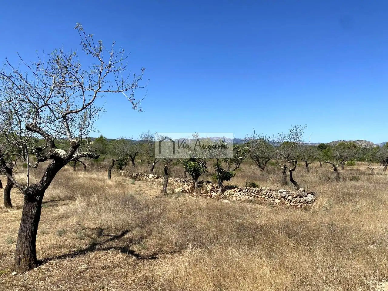 Terrain rustique à vendre à Baldiras, imagen 7