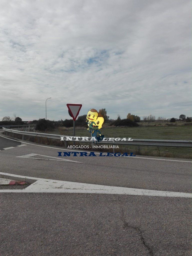 Exterior view of Land for sale in Vitigudino