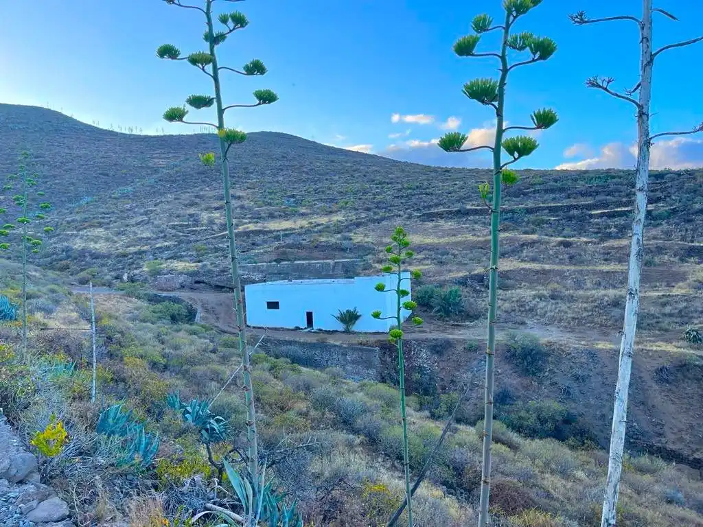 Rural land for sale in Tabuco