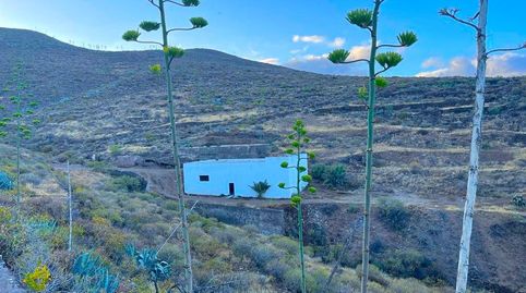 TERRENOS EL TABUCO  ROSIANA  INGENIO AGUATONA
