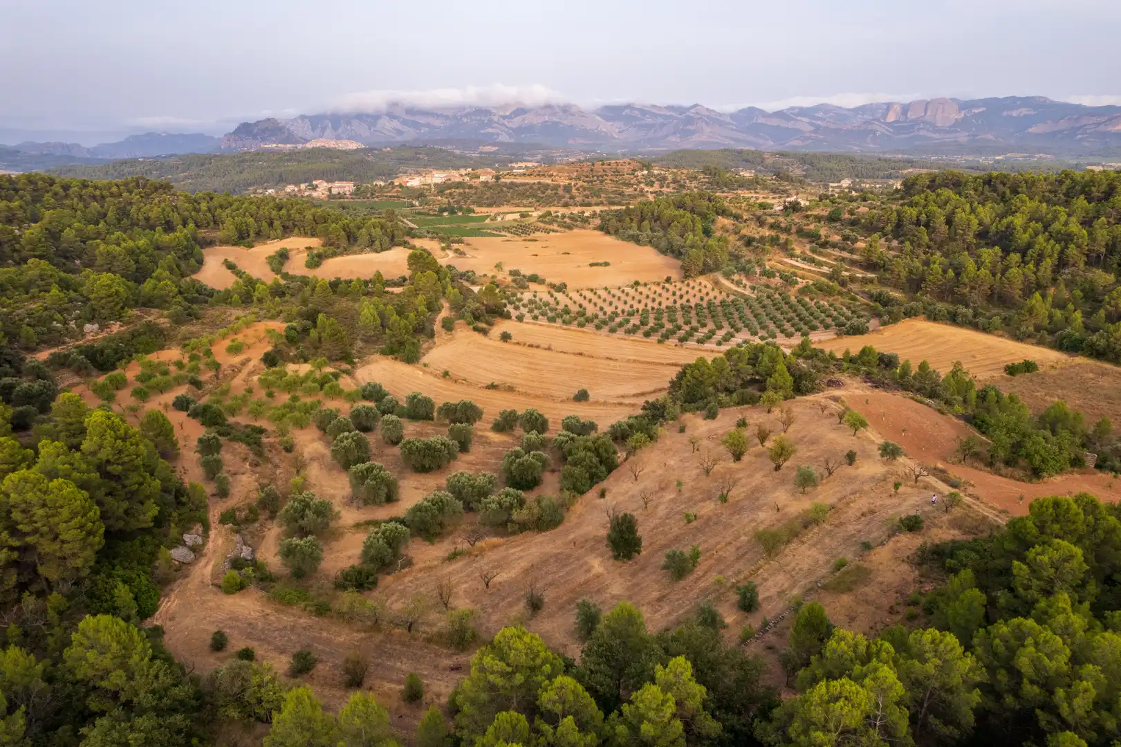 Terreni e lotti in vendita a Lledó