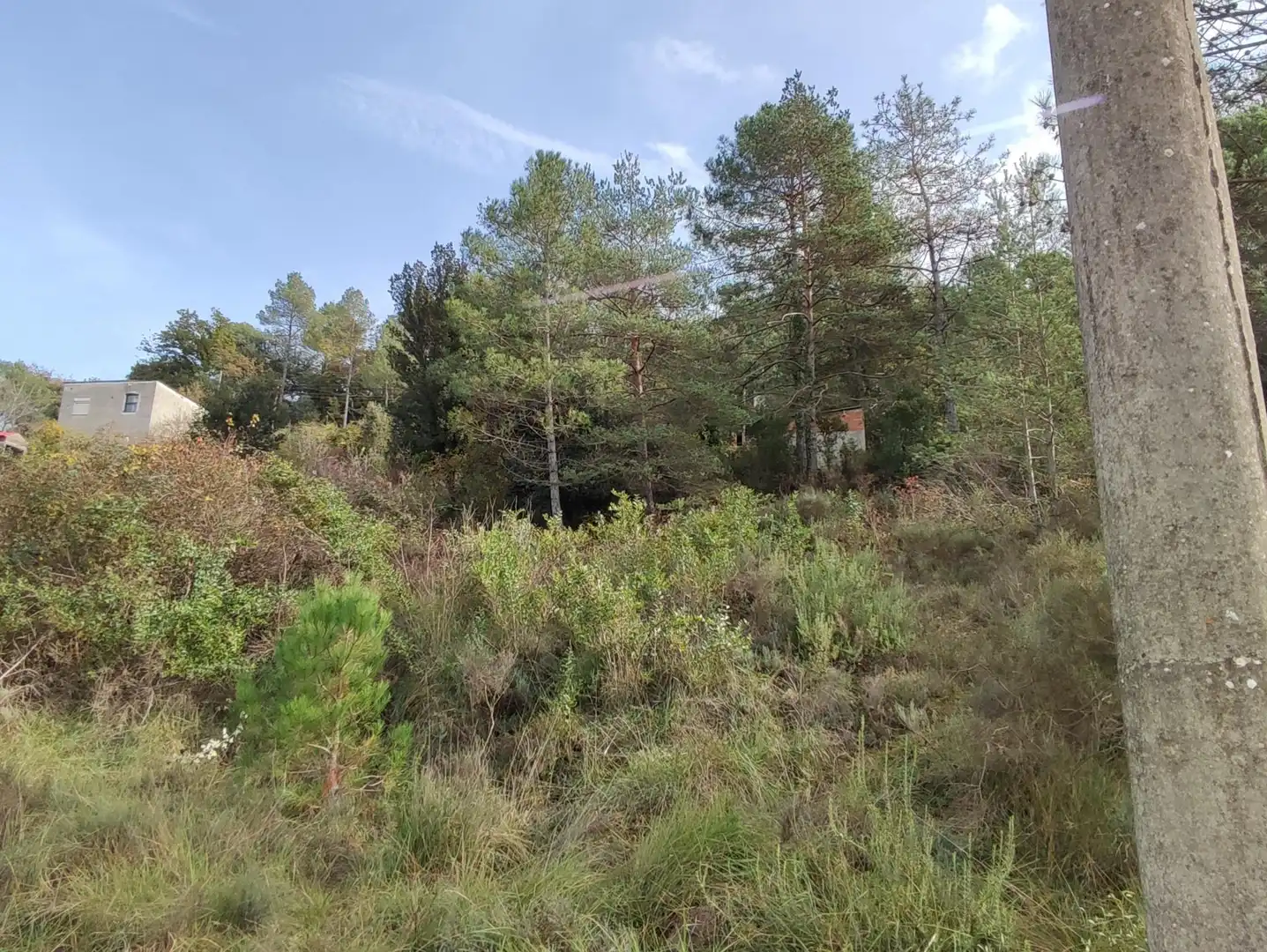 Terrain rustique à vendre à Monistrol de Calders, imagen 45