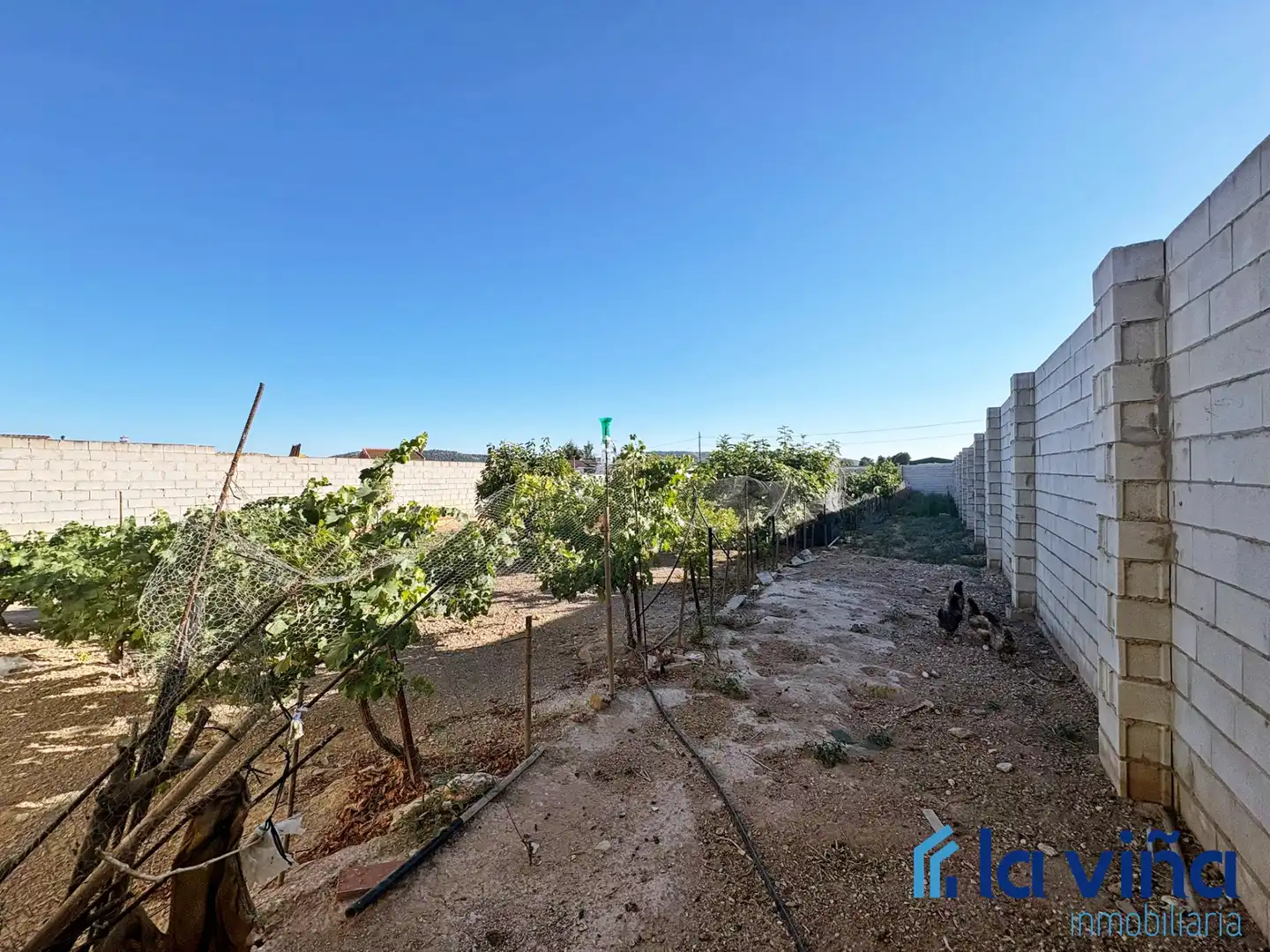 Rural land for sale in Mollina, imagen 11
