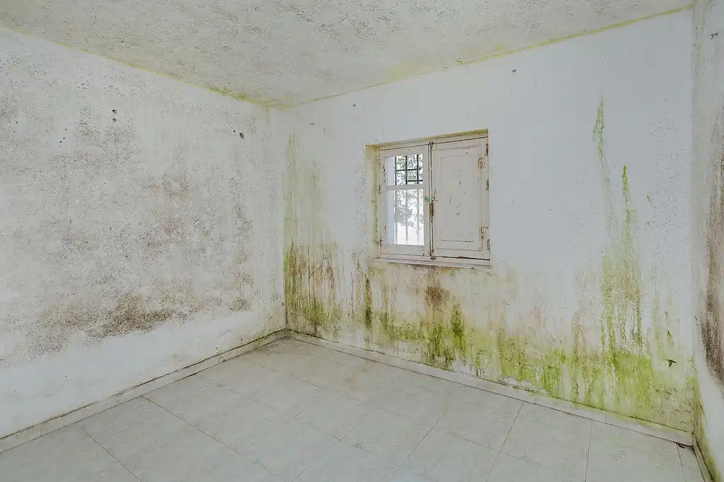 Casa bifamiliare in vendita a Pje La Molina, imagen 12
