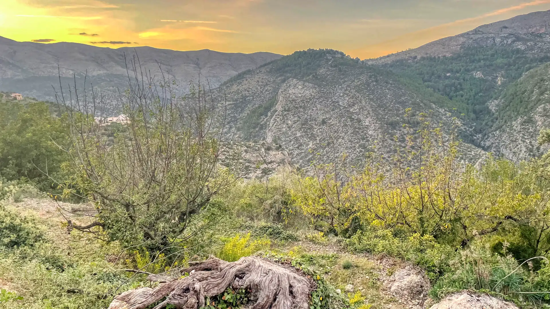 Exterior view of Residential for sale in La Vall de Laguar