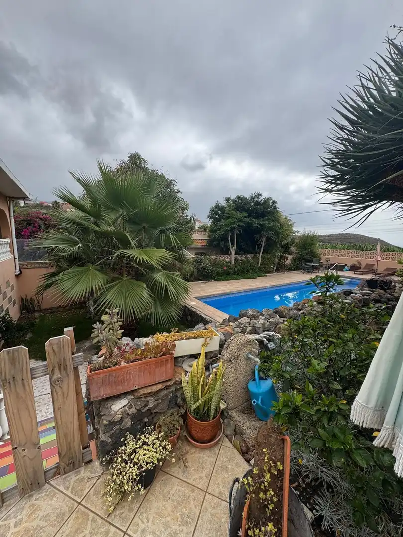 Piscina de Casa o xalet en venda en Icod de los Vinos amb Piscina