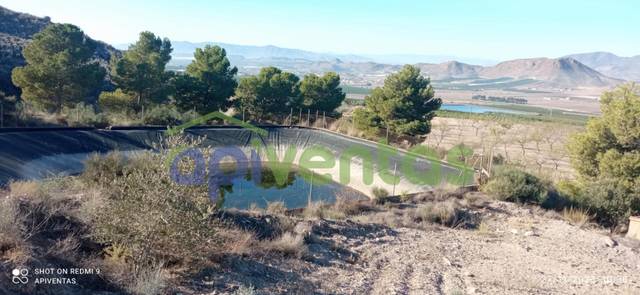 Terreno en Venta en Escucha