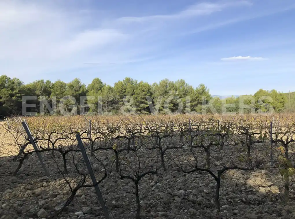 Terreny residencial en venda a Avinyonet del Penedès, imagen 28