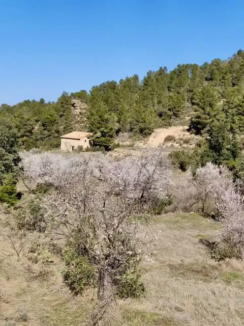 Terrenos y solares en venta en Valjunquera, imagen 3