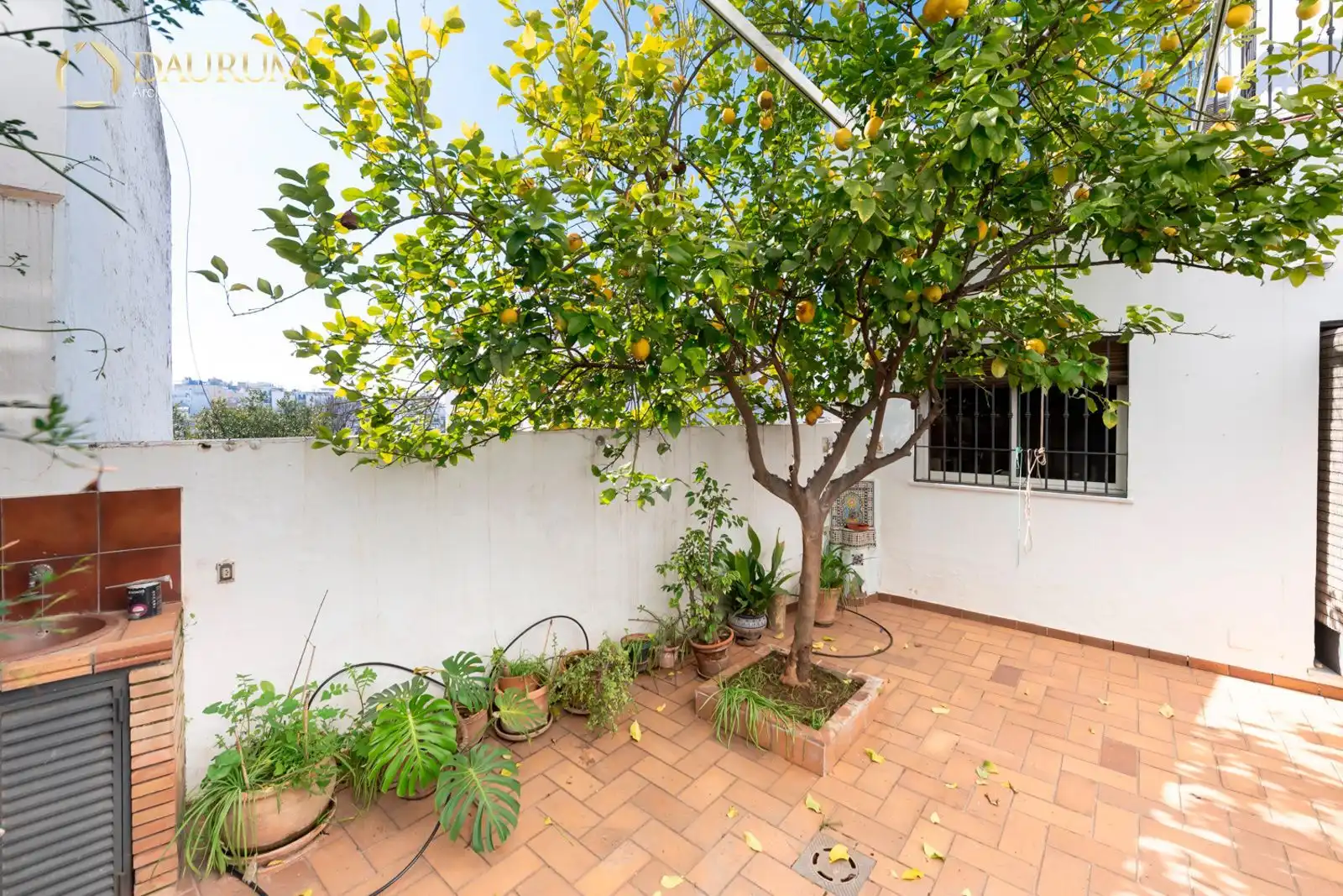 Jardí de Casa o xalet en venda en Alcalá de Guadaira amb Aire condicionat, Calefacció i Terrassa
