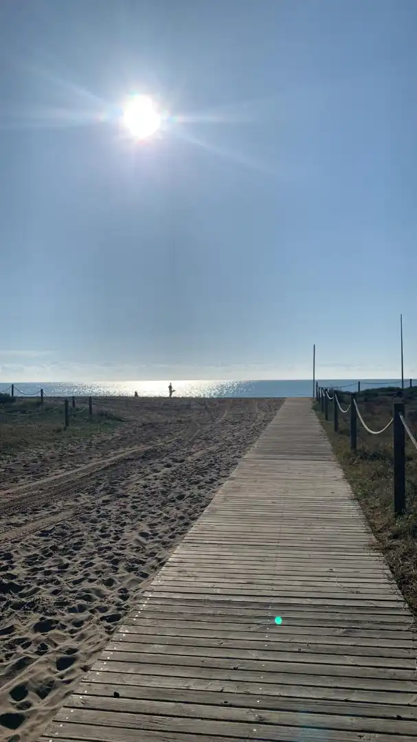Vista exterior de Casa o chalet en venta en Gavà con Aire acondicionado y Amueblado