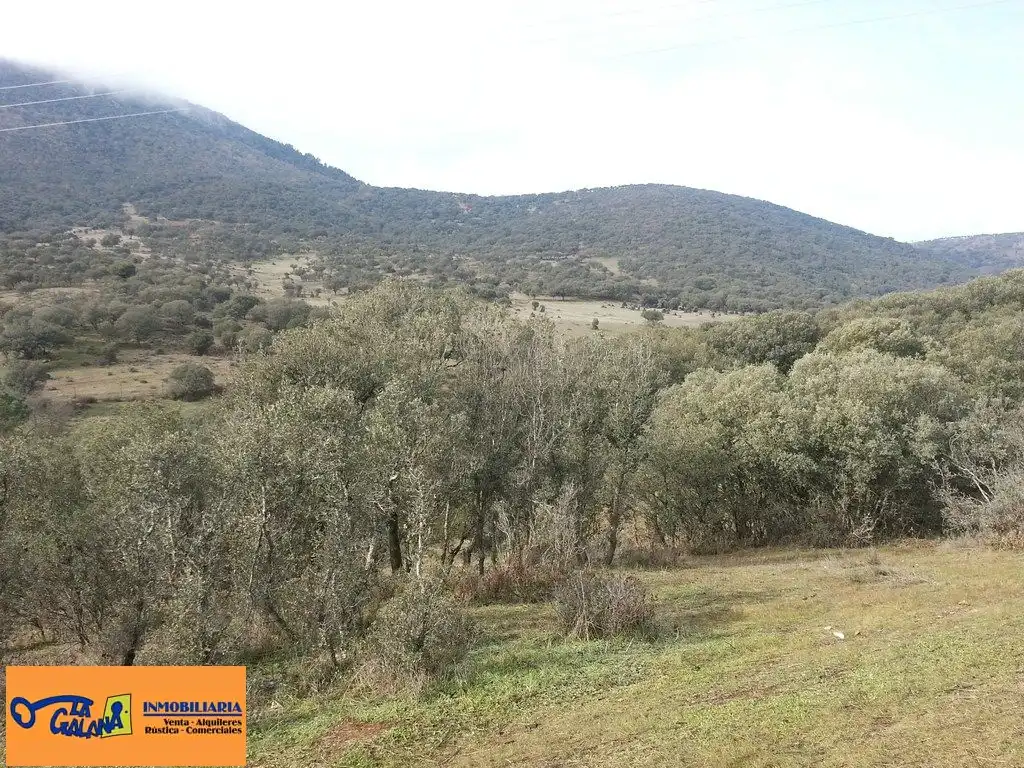 Xalet amb piscina en venda a Almuradiel, imagen 6