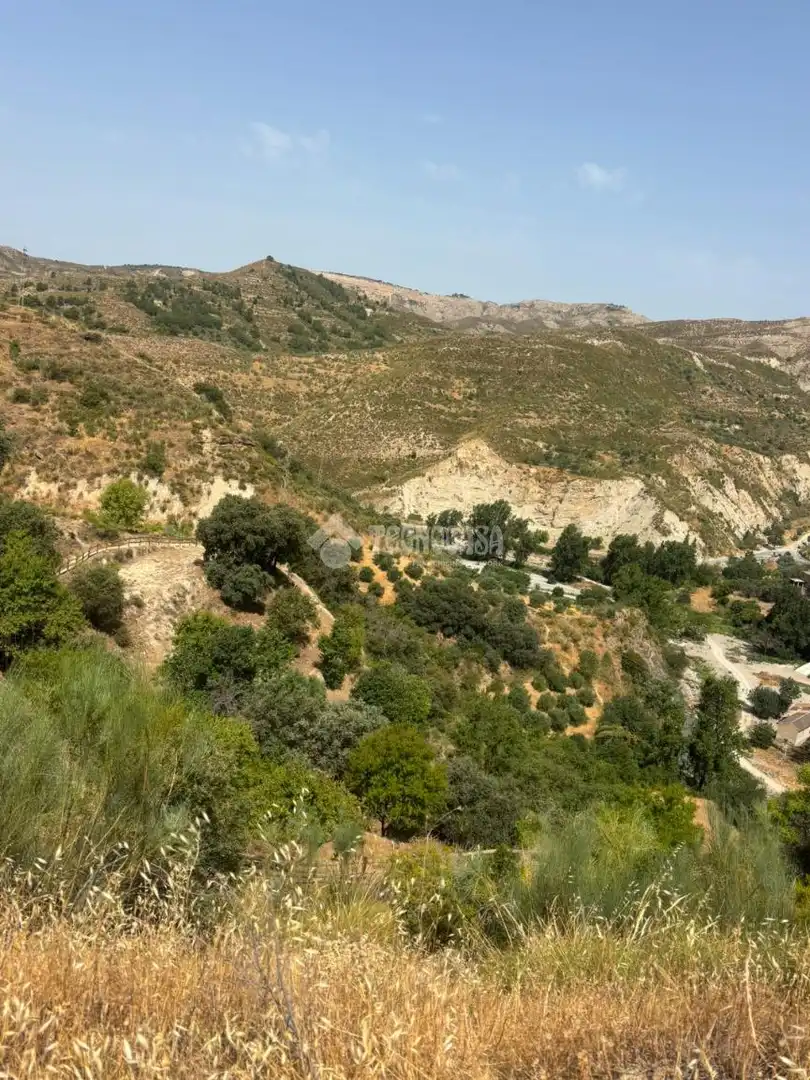 Land for sale in Quéntar