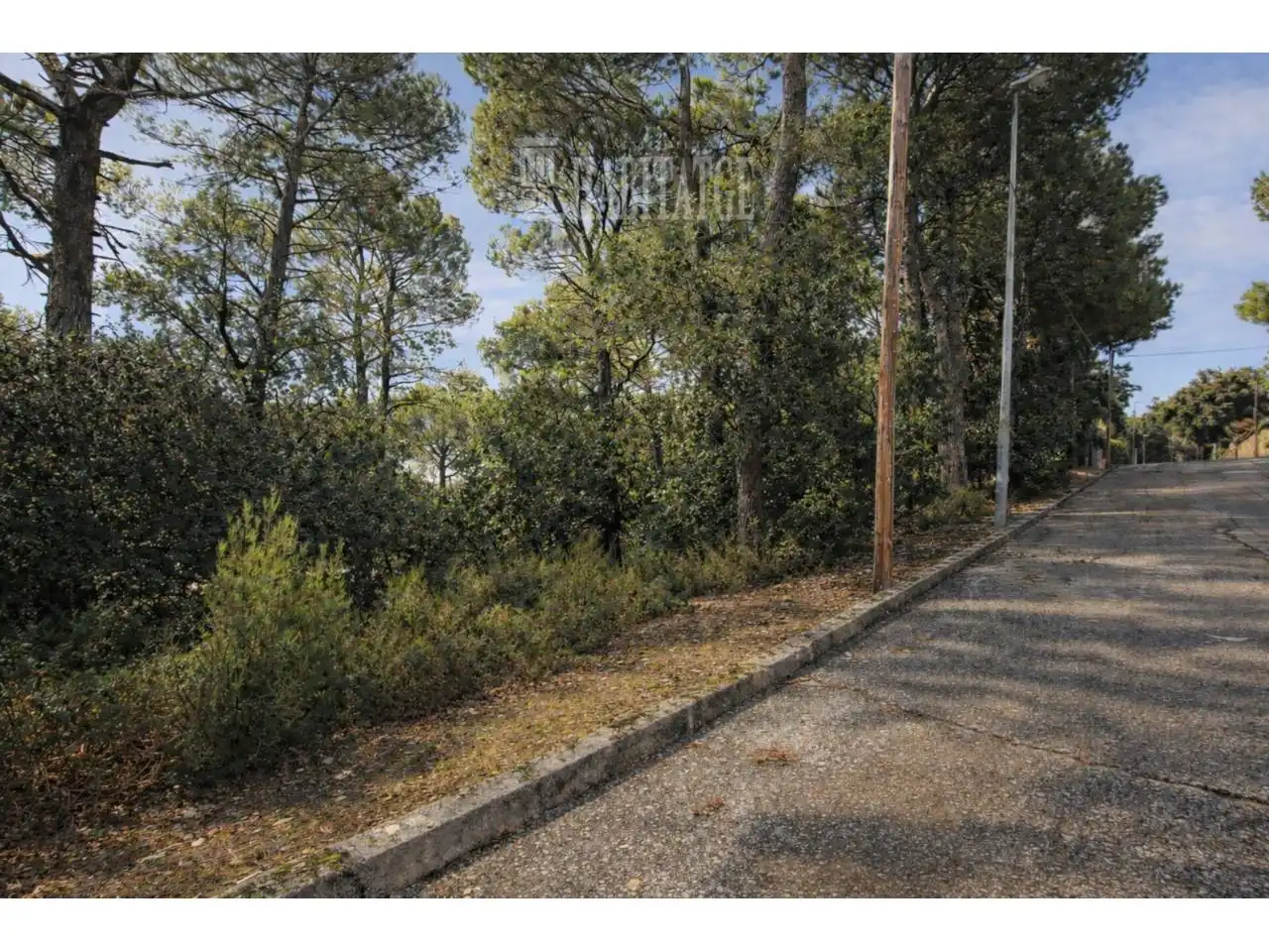 Terrain rustique à vendre à Calle MIQUEL MARTI POL, imagen 2