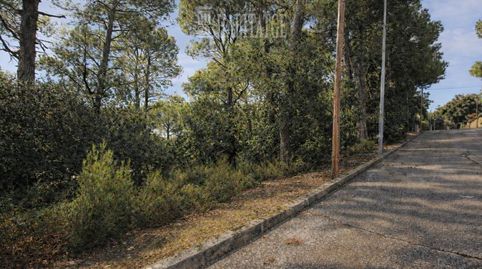 Terreno en venta en Seva El Pinós, immagine 2