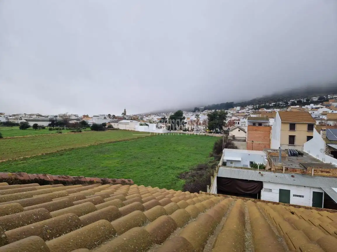 Exterior view of Houses for sale in Gilena  with Terrace