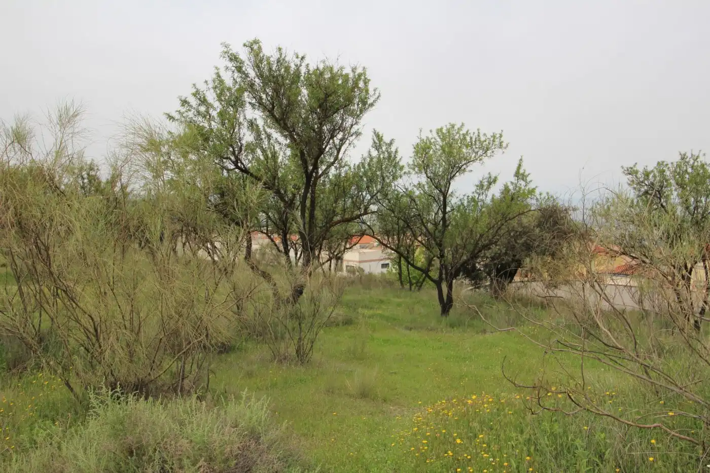 Country house zum Verkauf in Jun