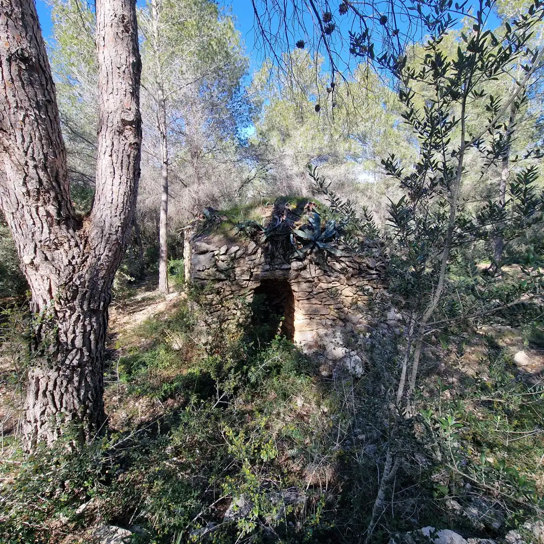 Terreno residencial en venta en Carrer Gessamí 18, imagen 23