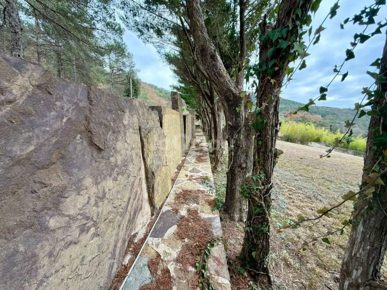 Vista exterior de Casa o xalet en venda en Tavèrnoles amb Jardí privat i Terrassa