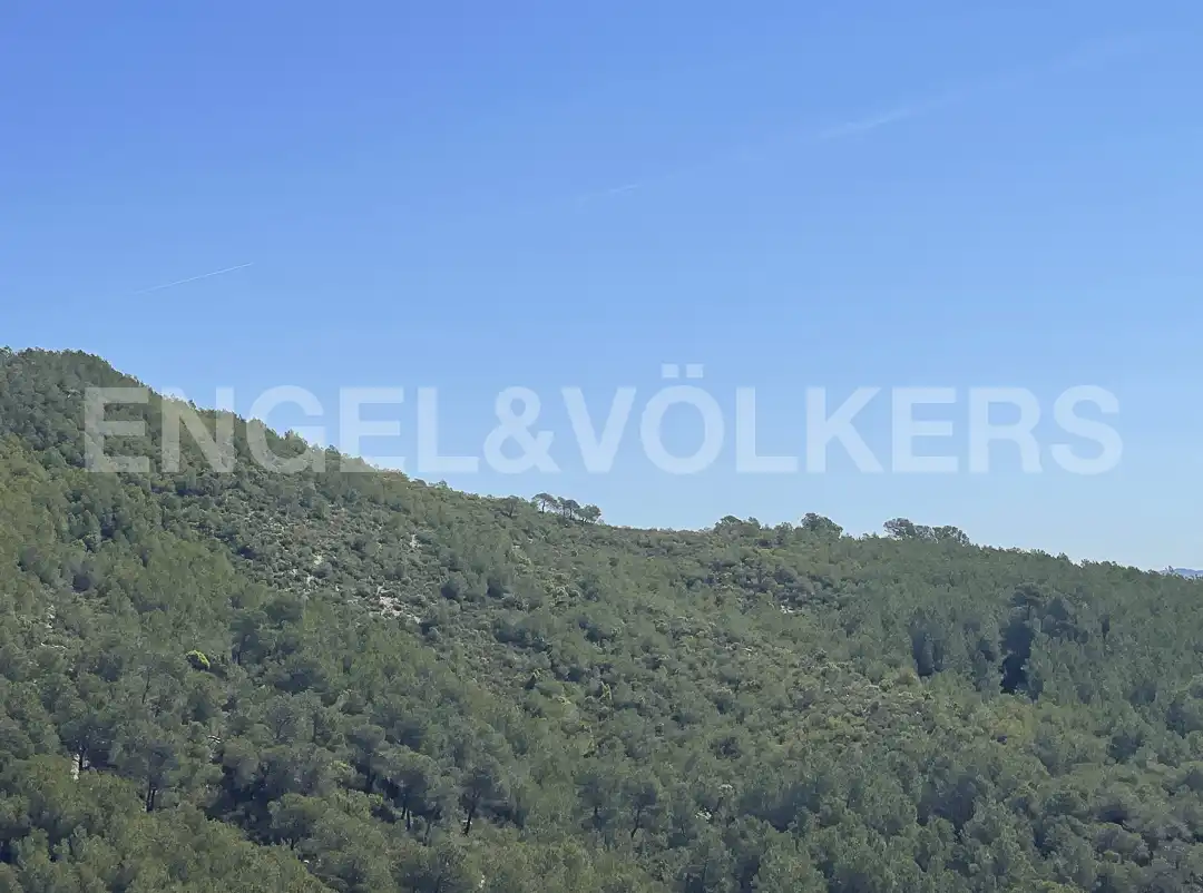 Wohnbaugrundstück zum Verkauf in Font-rubí, imagen 7