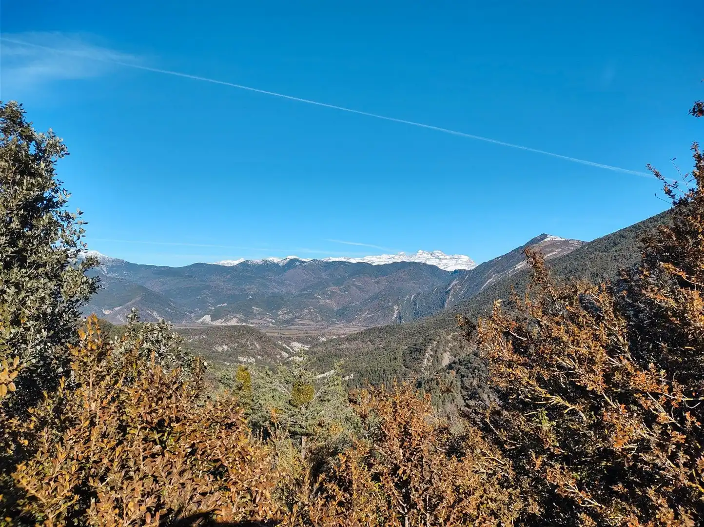 Vista exterior de Casa o chalet en venta en San Miguel del Cinca