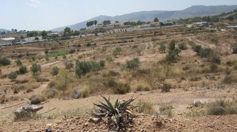 TERRENO CASA CUEVA, immagine 5