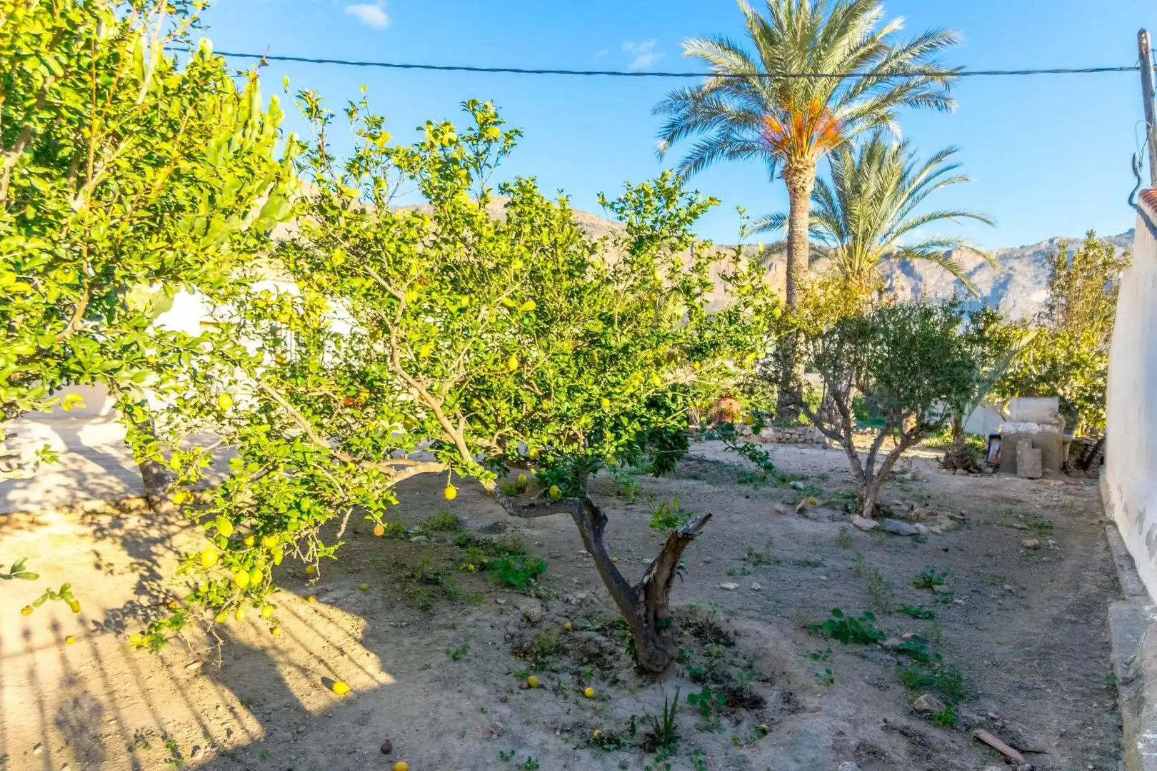 Finca rústica en venda a N/A, -1, Montepinar - La Aparecida - Raiguero
