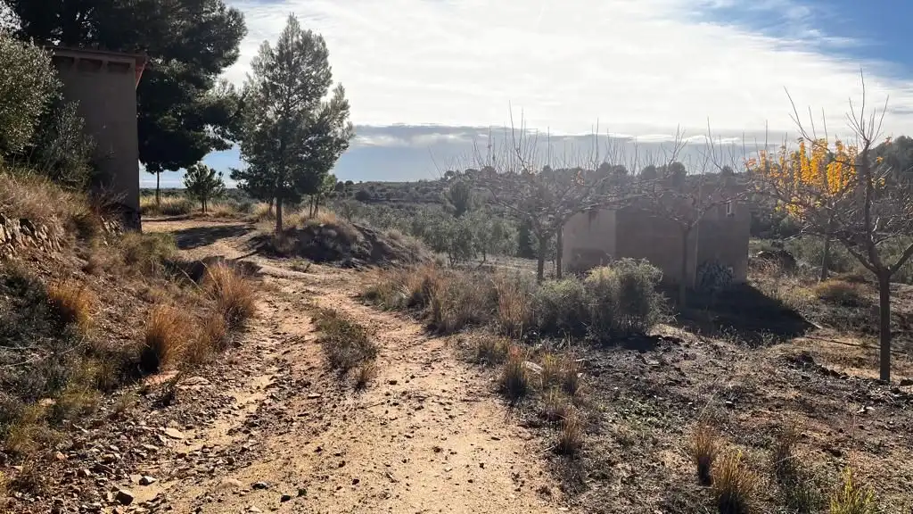 Terreny rústic en venda a Carrer del Dimecres, imagen 12