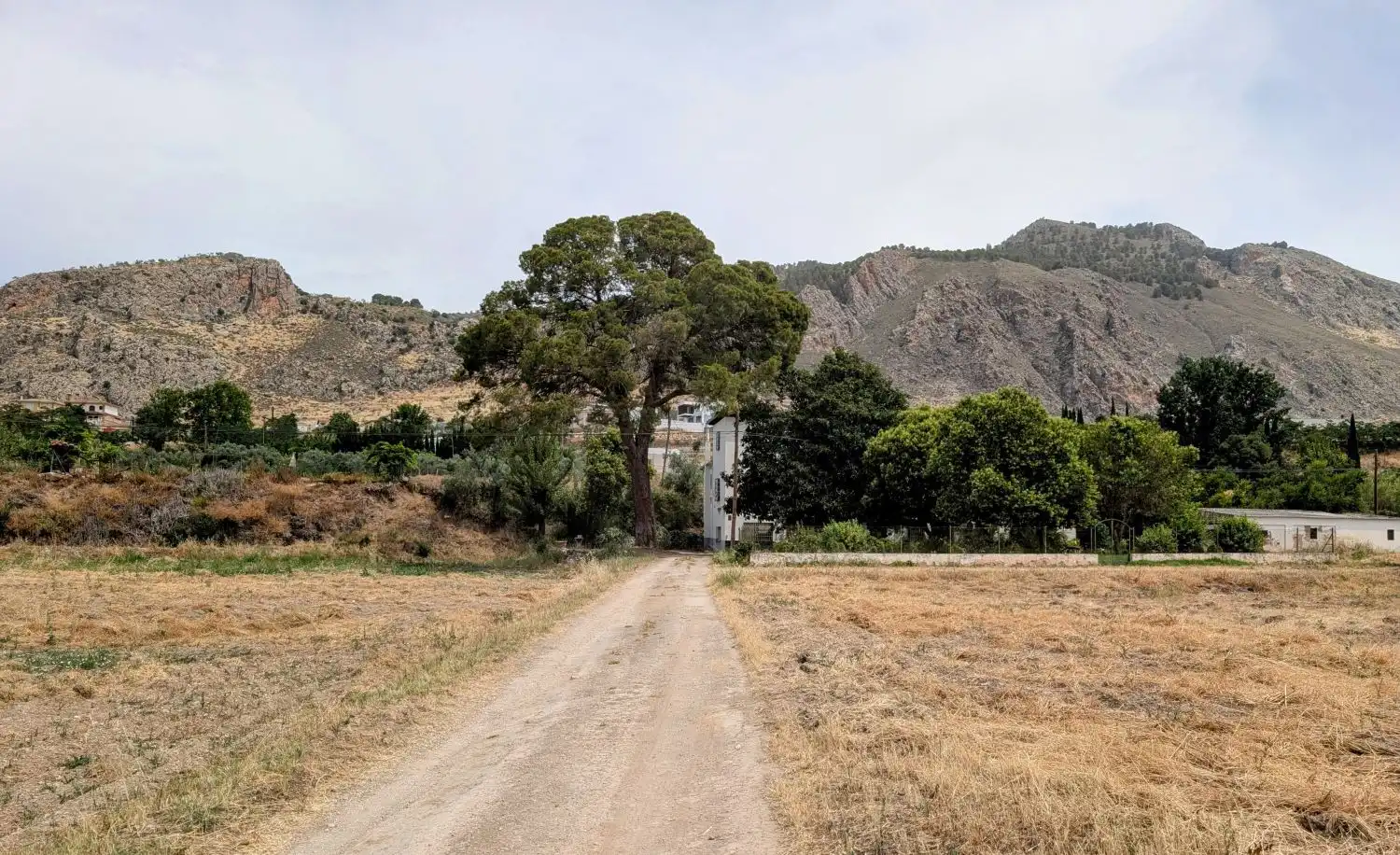 Vista exterior de Casa o xalet en venda en Loja amb Aire condicionat, Calefacció i Jardí privat