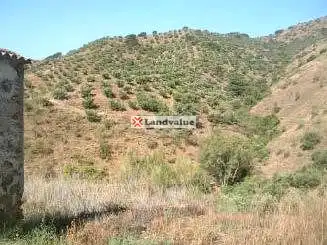 Terrenys i solars en venda a PARAJE JABONEROS Y OTROS, imagen 3
