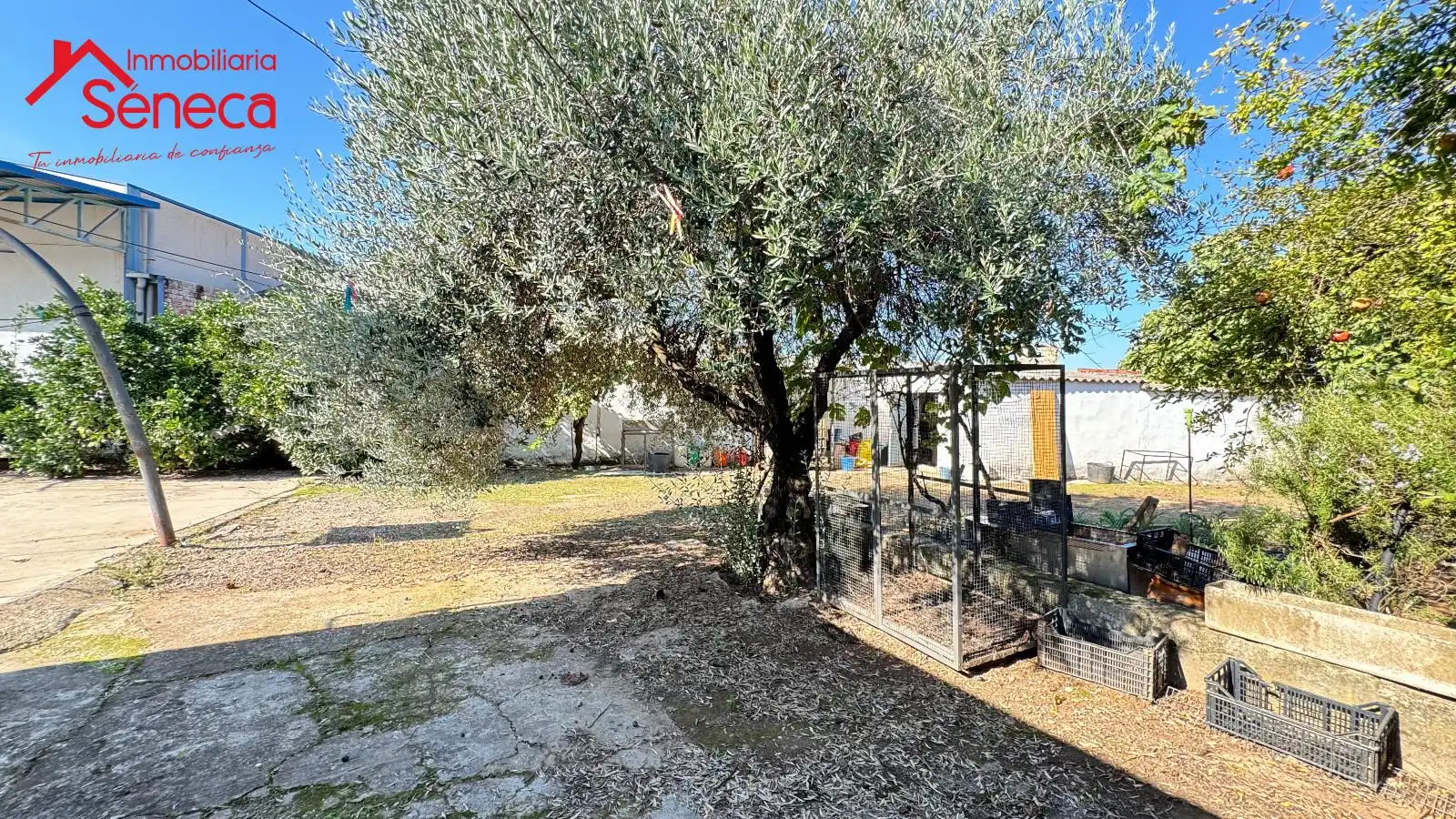 Casa o xalet en venda a Encinarejo de Córdoba