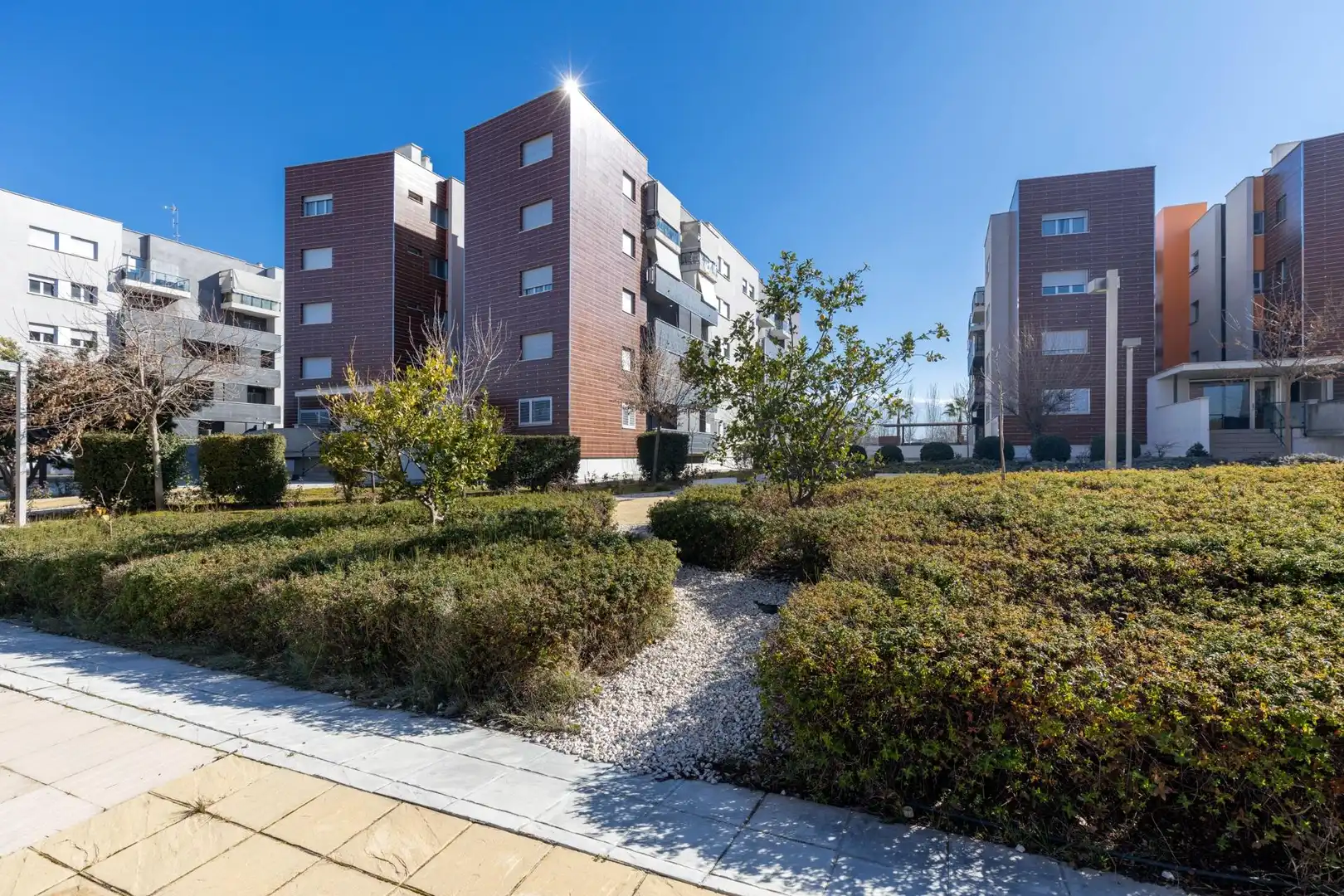 Piso con piscina en venta en Avenida de Circunvalación, imagen 5
