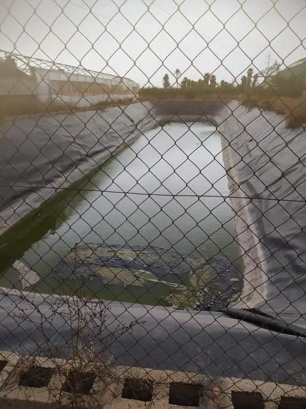 Piscina de Finca rústica en venta en Elche / Elx con Calefacción