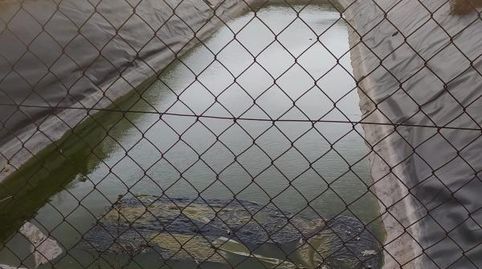 Foto 5 de Finca rústica en venta en Asprella, La Foia - Daimés - Asprella, Elche / Elx