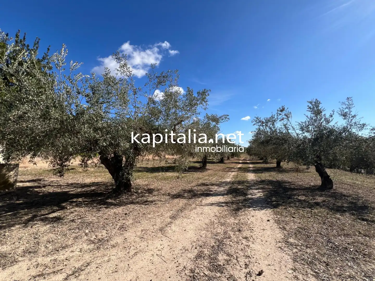 Houses for sale in Ontinyent  with Private garden and Swimming Pool