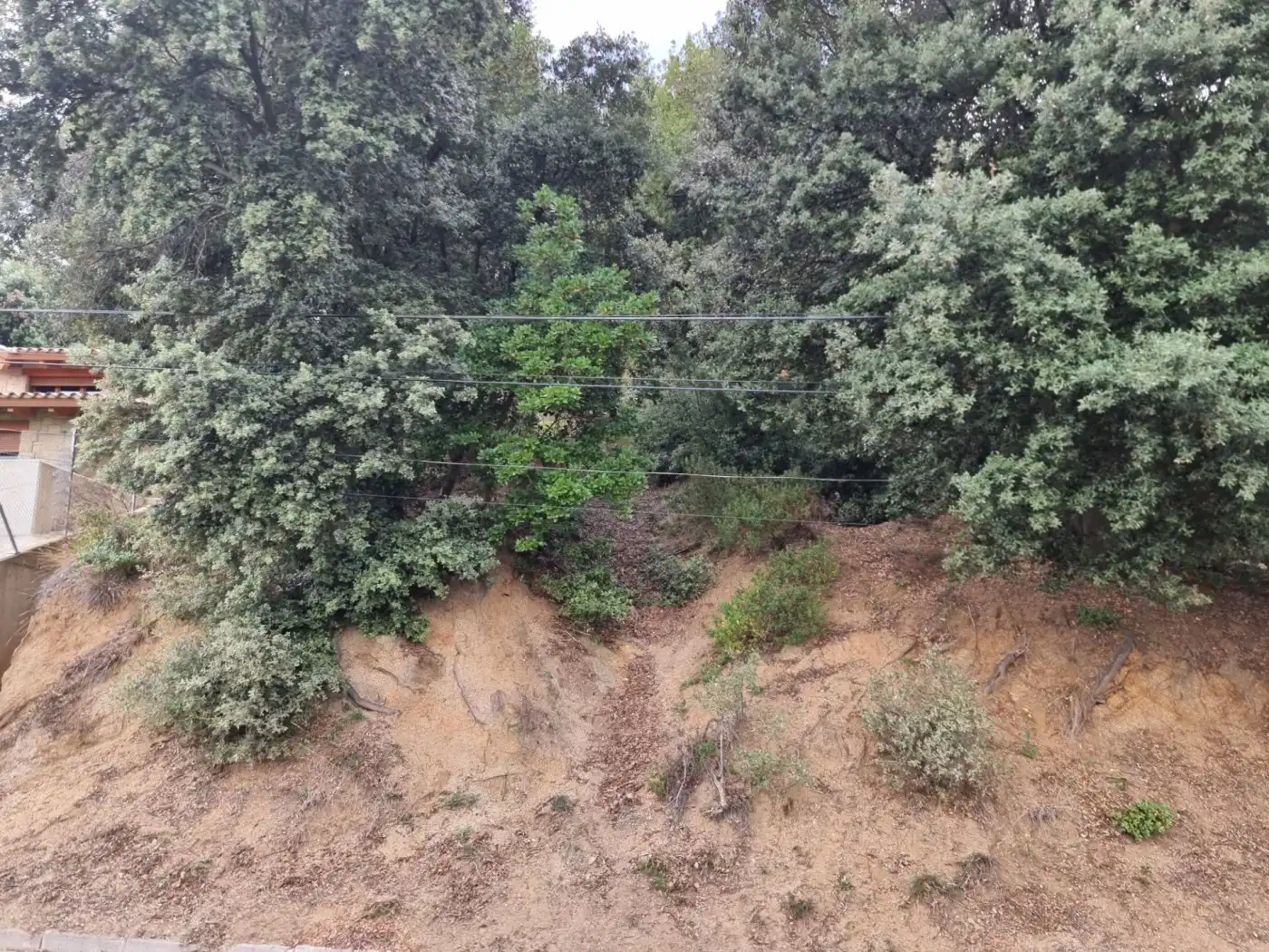 Lands and plots for sale in Calle MARGALLO, imagen 8