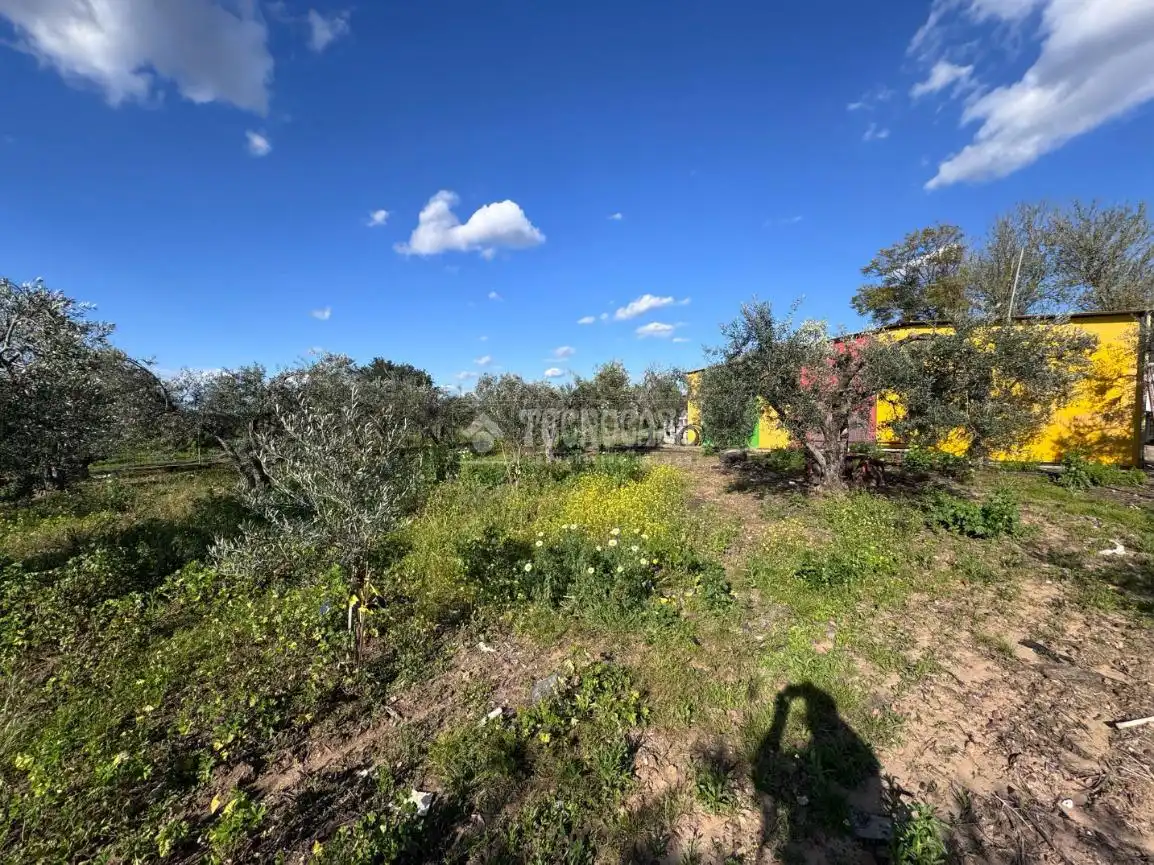 Country homes for sale in Torreblanca