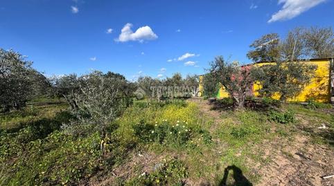 Foto 5 de Finca rústica en venda a Parque Atlántico- San Matías, Sevilla